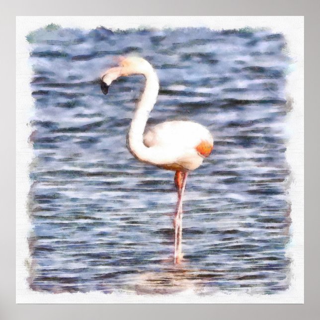 Póster Wild Flamingo (Frente)