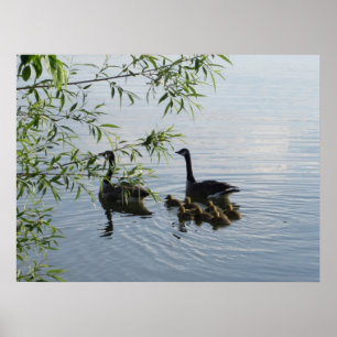 Póster Wild Geese Print