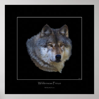 Póster Wild Gray Wolf Art Poster