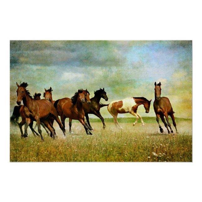 Póster Wild Horses (Anverso)