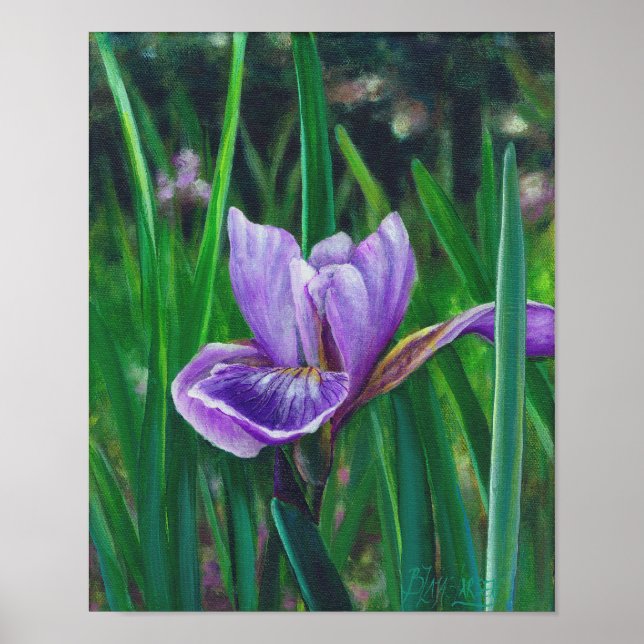 Póster Wild Iris (Frente)