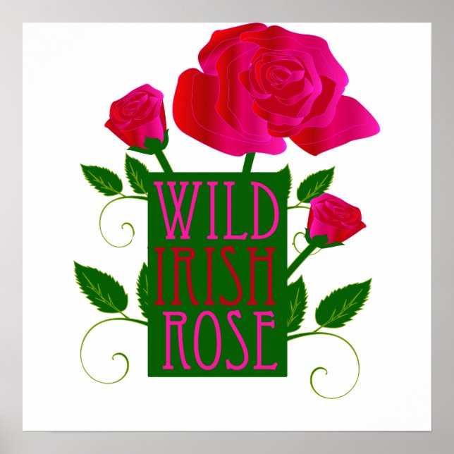 Póster Wild Irish Rosa (Frente)