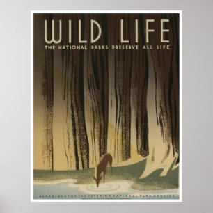 Póster Wild Life: National Parks Service