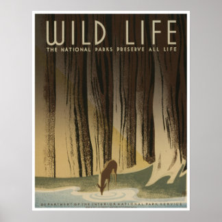 Póster Wild Life: National Parks Service