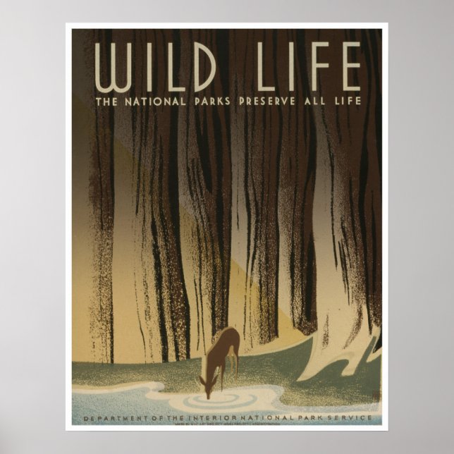 Póster Wild Life: National Parks Service (Frente)