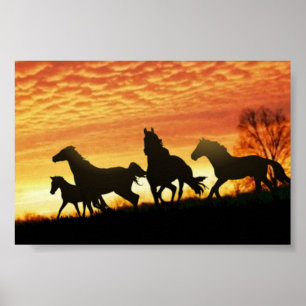 Póster Wild Mustangs