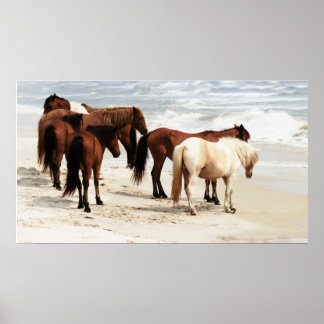 Póster Wild Ponies Poster
