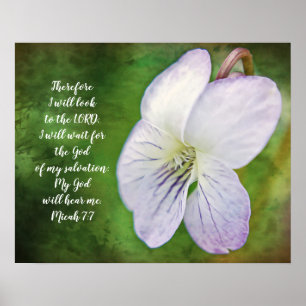 Póster Wild Violet Flower Bible Scripture Poster
