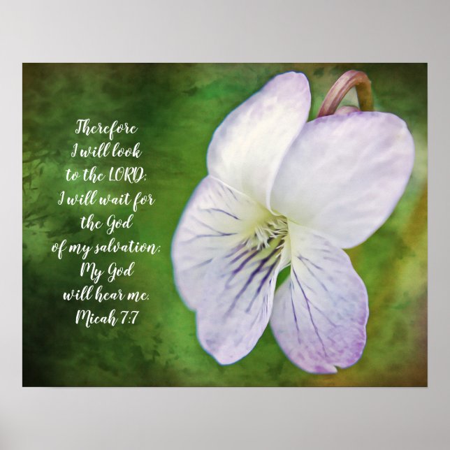 Póster Wild Violet Flower Bible Scripture Poster (Frente)