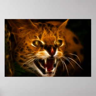 Póster Wildcat