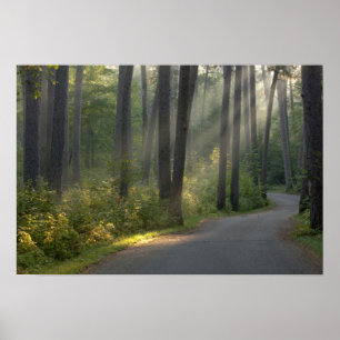 Póster Wilderness Drive, Parque Estatal Itasca,