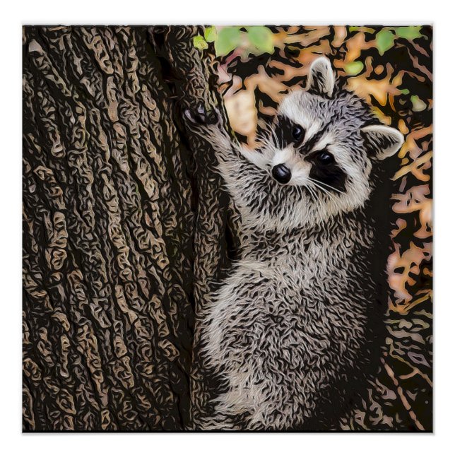 Póster Wilderness Wild Raccoon (Anverso)
