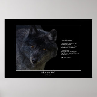 Póster WILDERNESS WOLF Poster w\poem