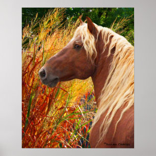 Póster "Wildfire" Poster