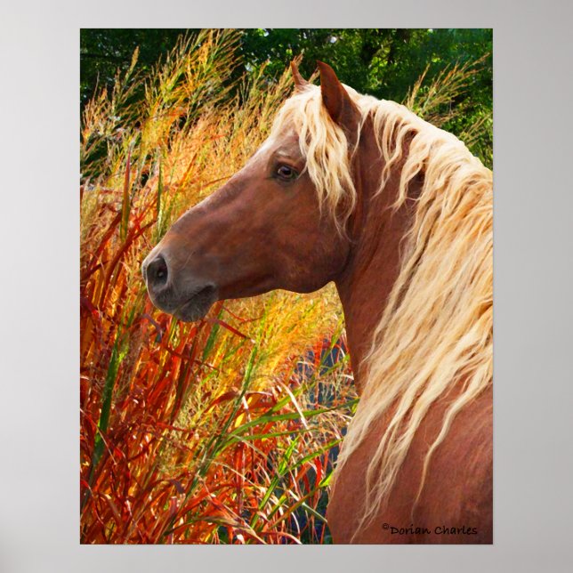 Póster "Wildfire" Poster (Frente)