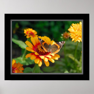 Póster Wildflower 11x14 y mariposa combinados indios
