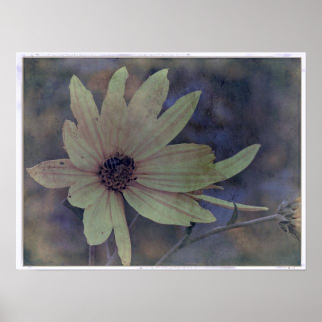 Póster Wildflower and Bee (Frente)