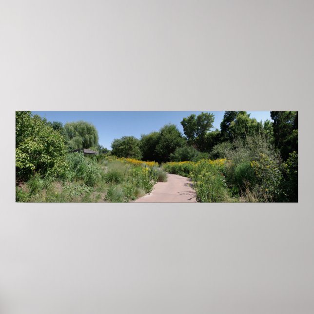 Póster Wildflower Meadow (Frente)
