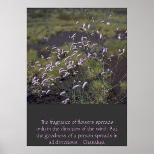 Póster wildflowers