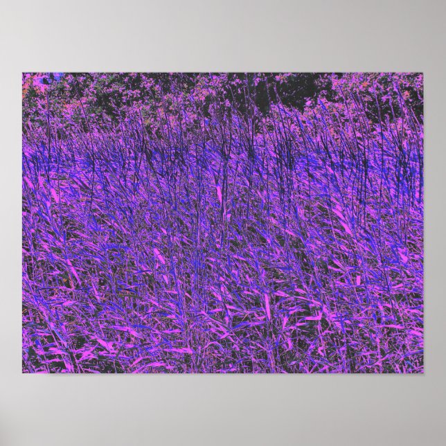 PÓSTER WILDFLOWERS (Frente)