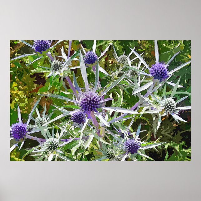 PÓSTER WILDFLOWERS (Frente)