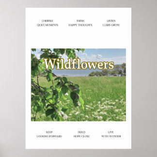 Póster Wildflowers