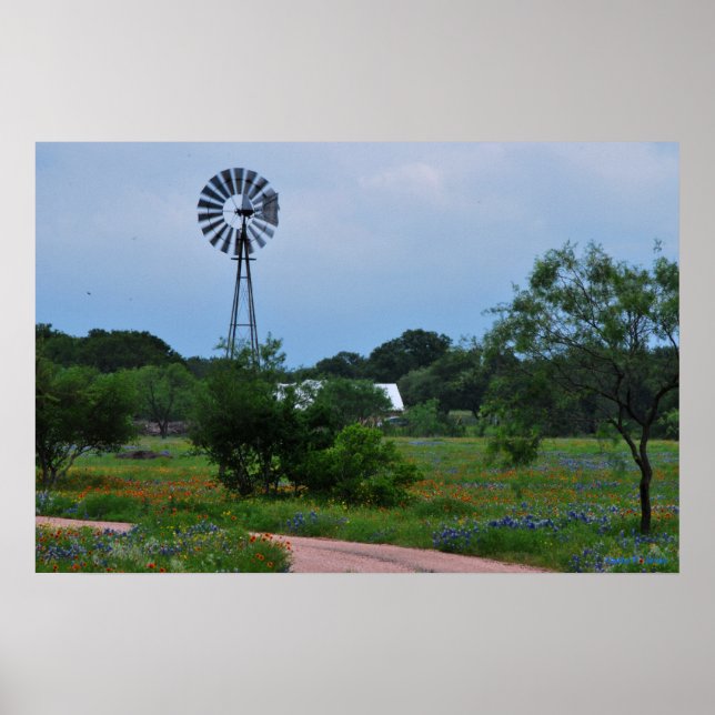 Póster Wildflowers and Windmill Print (Frente)