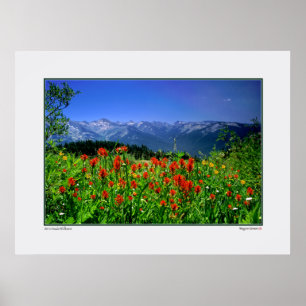 Póster Wildflowers de High Sierra Nevada