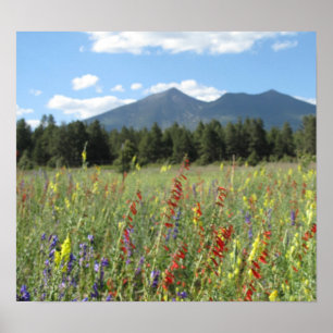 Póster Wildflowers de la asta de bandera