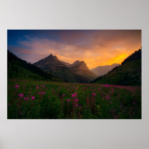 Póster Wildflowers del glaciar
