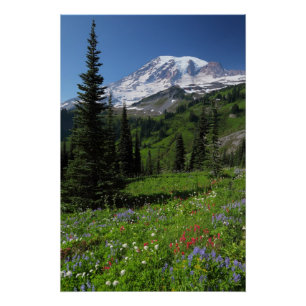 Póster Wildflowers en el Monte Rainier