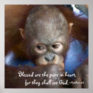 Póster Wildlife Baby : Blessed are the pure in heart