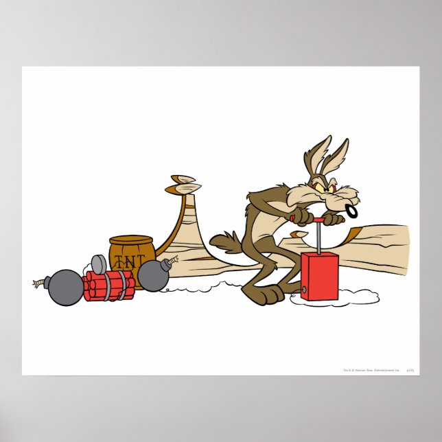 Póster Wile E Coyote Acme Products 11 2 (Frente)