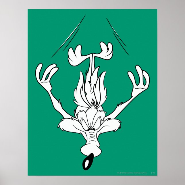 Póster Wile E. Coyote Dive Bomb (Frente)