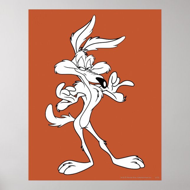 Póster Wile E. Coyote Look Completo (Frente)