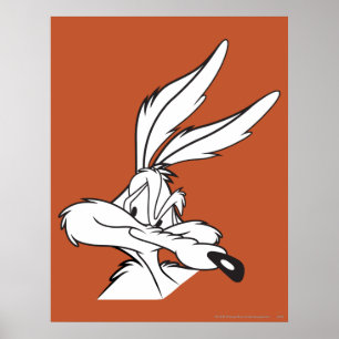 Póster Wile E. Coyote Parece incómodo