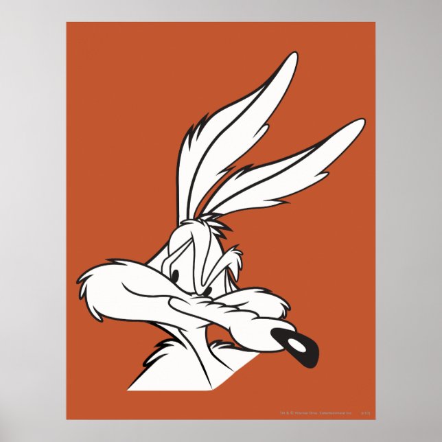 Póster Wile E. Coyote Parece incómodo (Frente)
