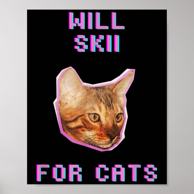 Póster Will Skiing For Cats Funny Winter Snow Adventure  (Frente)