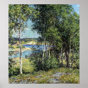 Póster Willard L. Metcalf Una familia de birches