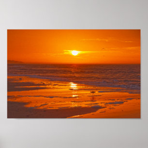 Póster Willet on the Beach at Dawn, Florida