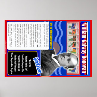 Póster William Galway Donovan Biography