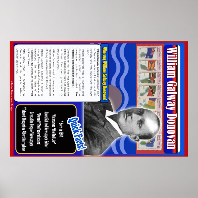 Póster William Galway Donovan Biography (Frente)