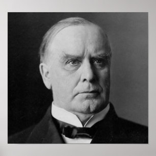Póster William Mckinley 25