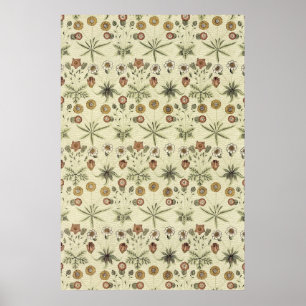 Póster William Morris
