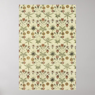 Póster William Morris