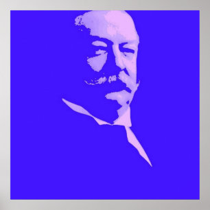 Póster William Taft 27