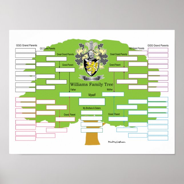 Póster Williams Family Tree (Frente)