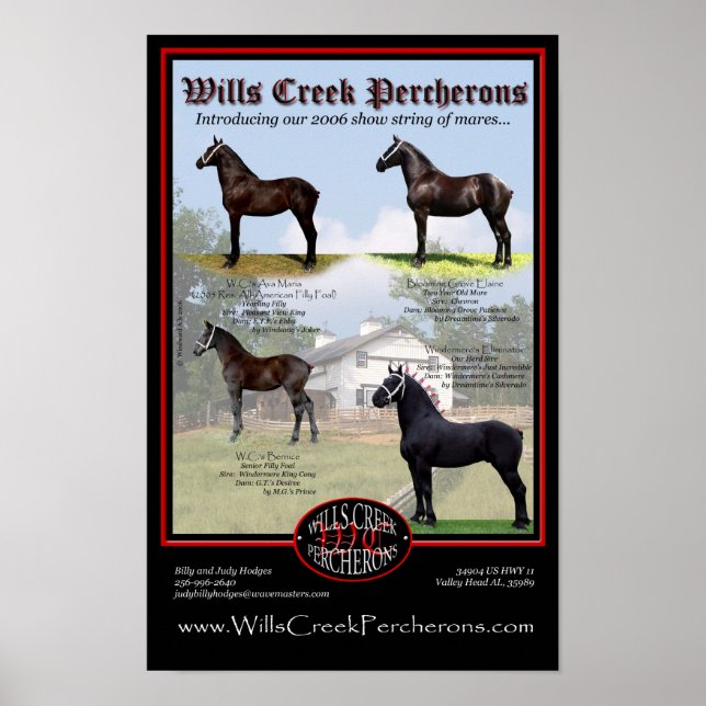 PÓSTER WILLS CREEK PERCHERONS 2006 SHOW STRING (Frente)