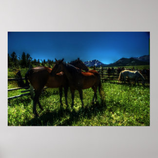 Póster Willy and Charger