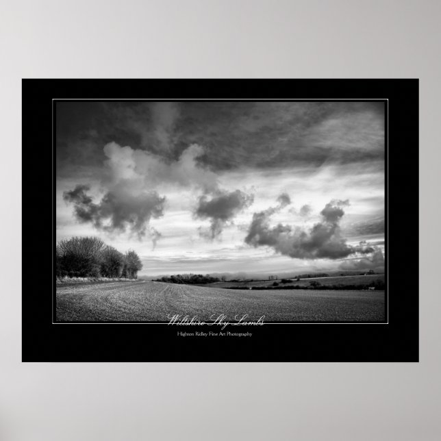 Póster Wiltshire Sky Lambs, estilo galería Bella Artes (Frente)
